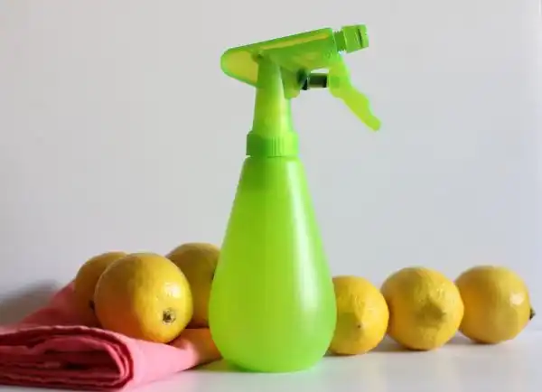 Cleaning With Lemons collage