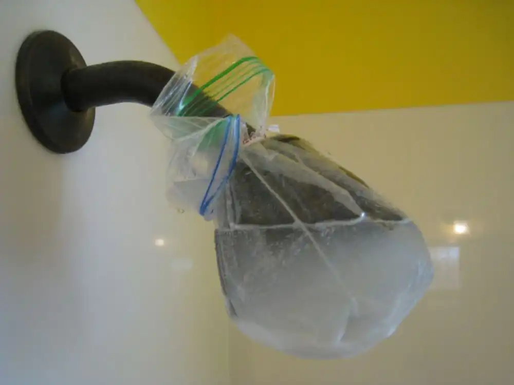 Cleaning the shower head