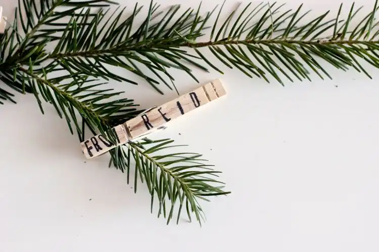 Clothespin gift tags