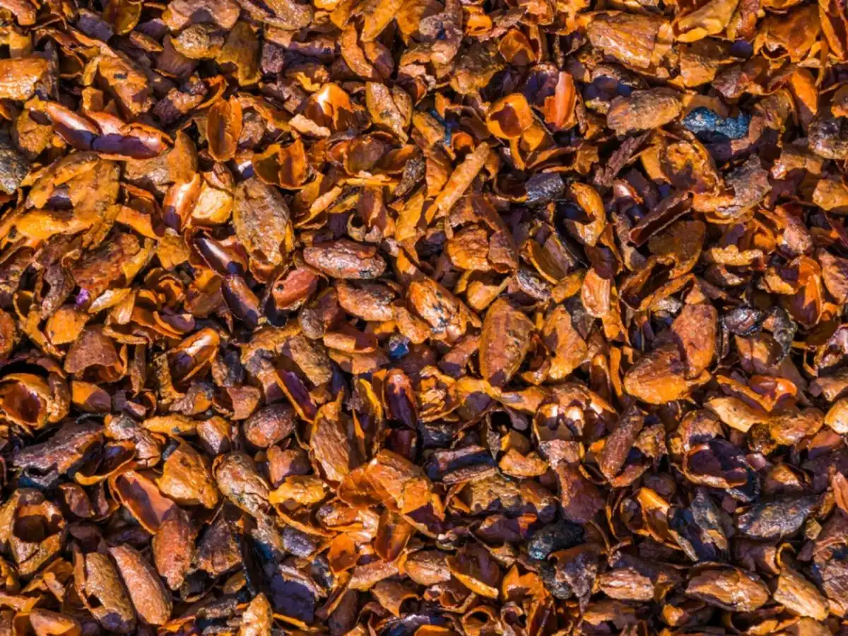 Cocoa Bean Hulls