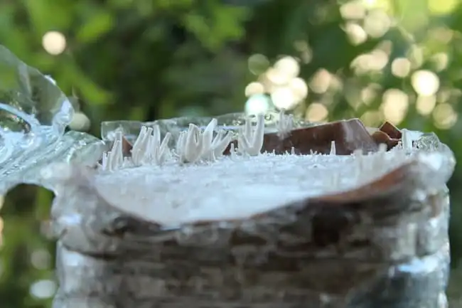 Coffee grounds plastic bottle