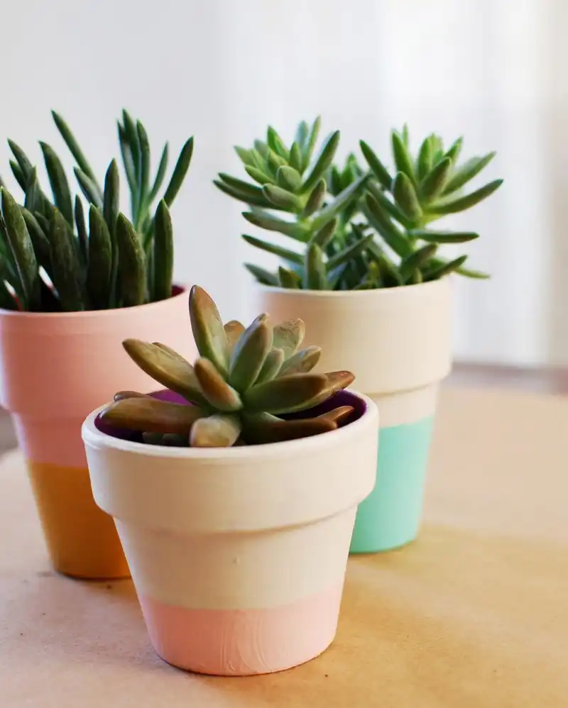 Color Blocker on Terracota pots