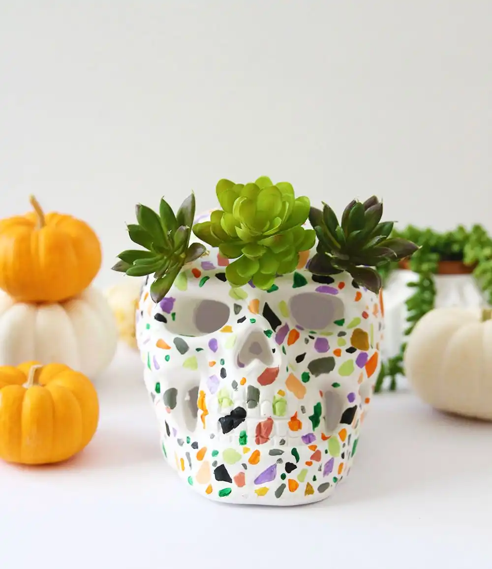 Colorful Skull flower vase for sukullents