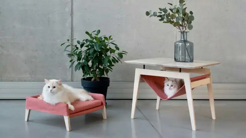Comfy Cat Furniture From Labbvenn