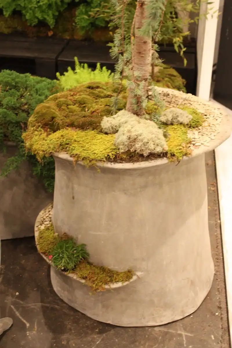 Concrete planters for curb appeal