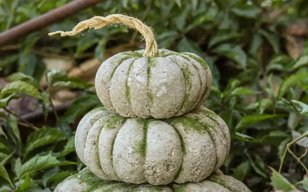 Concrete pumpkins diy