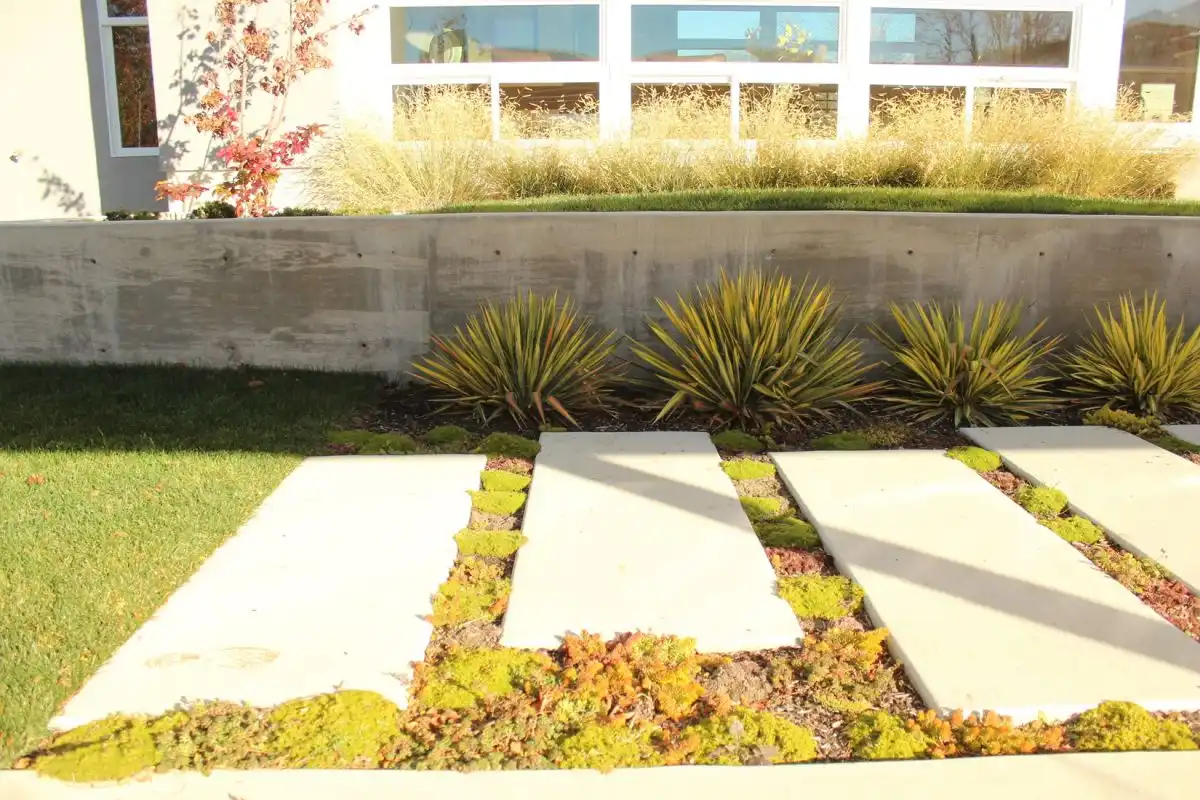 Concrete slabs that mimic the front steps
