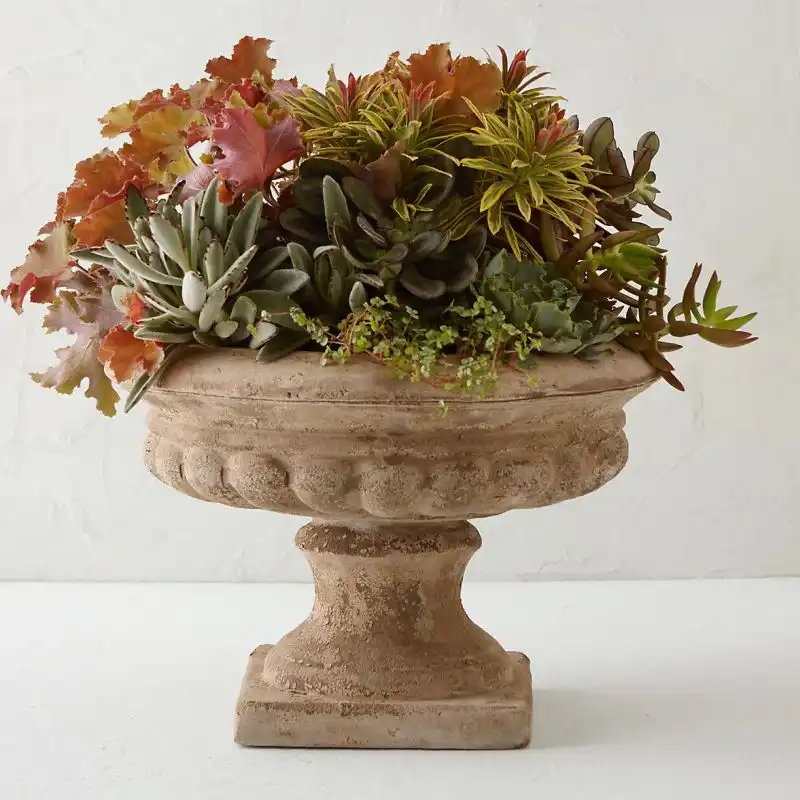 Cons of Terracotta Pots