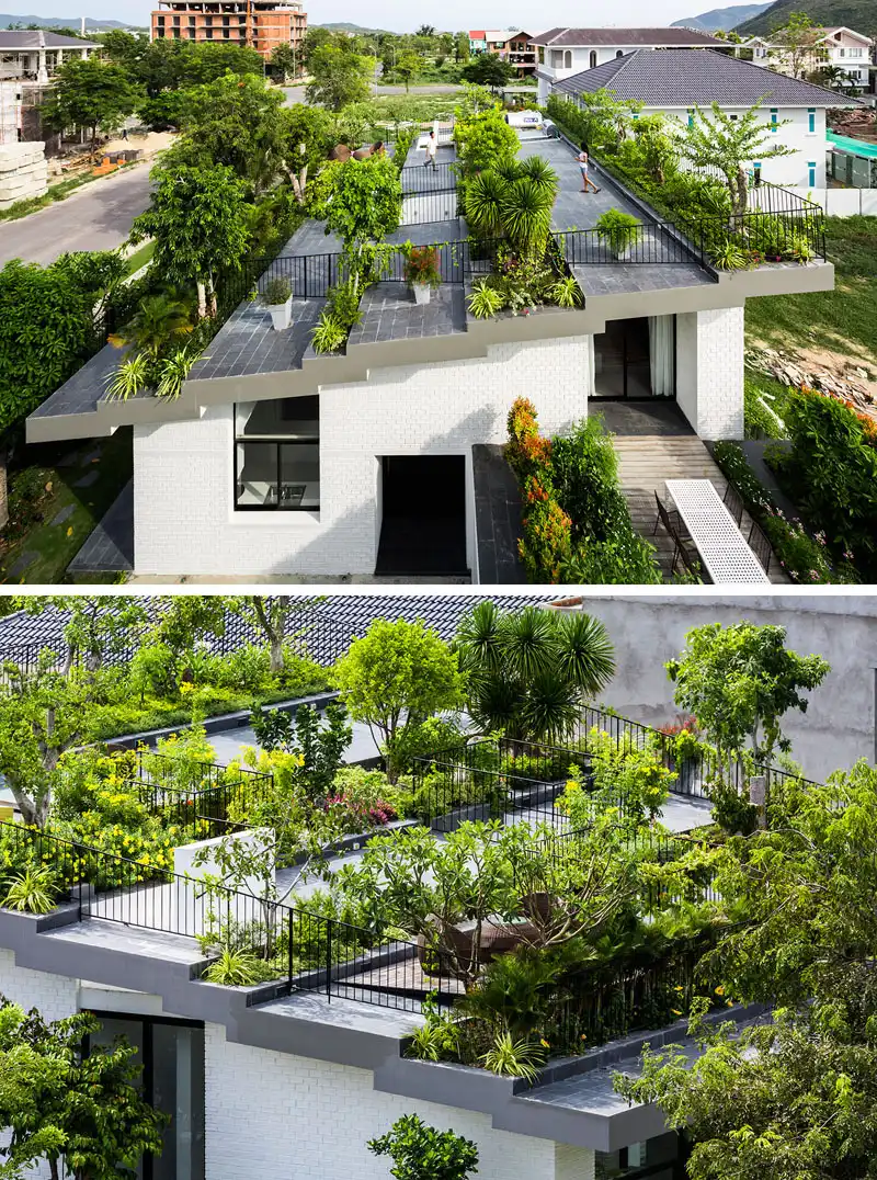 Contemporary house with rooftop terraced garden design