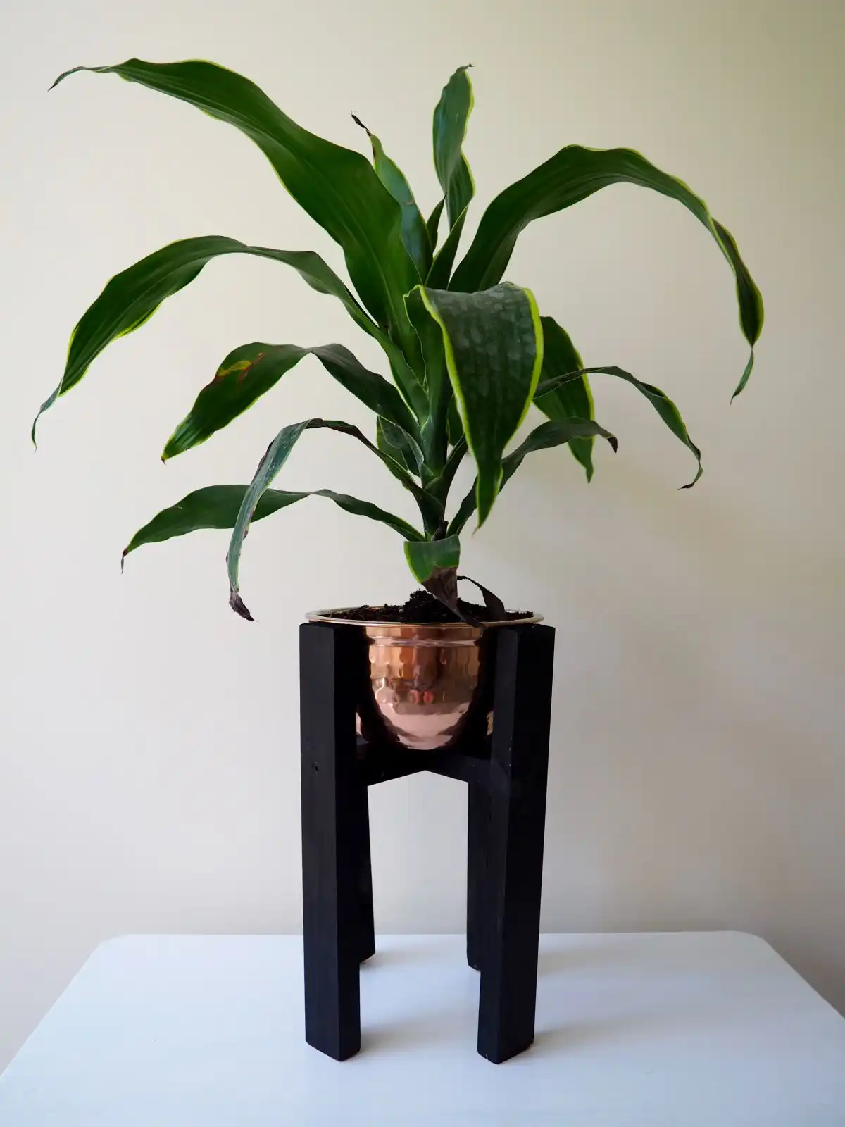Copper wood planter