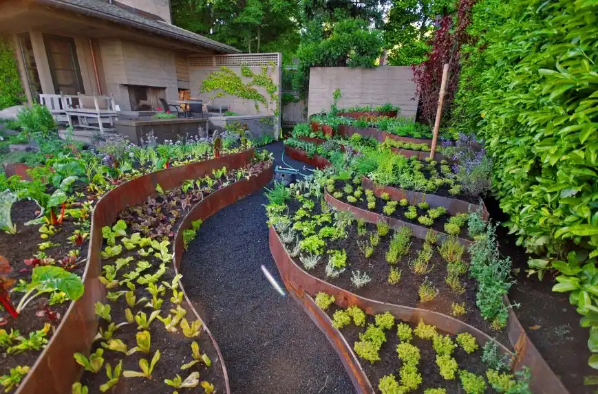 Corten planters for gardening