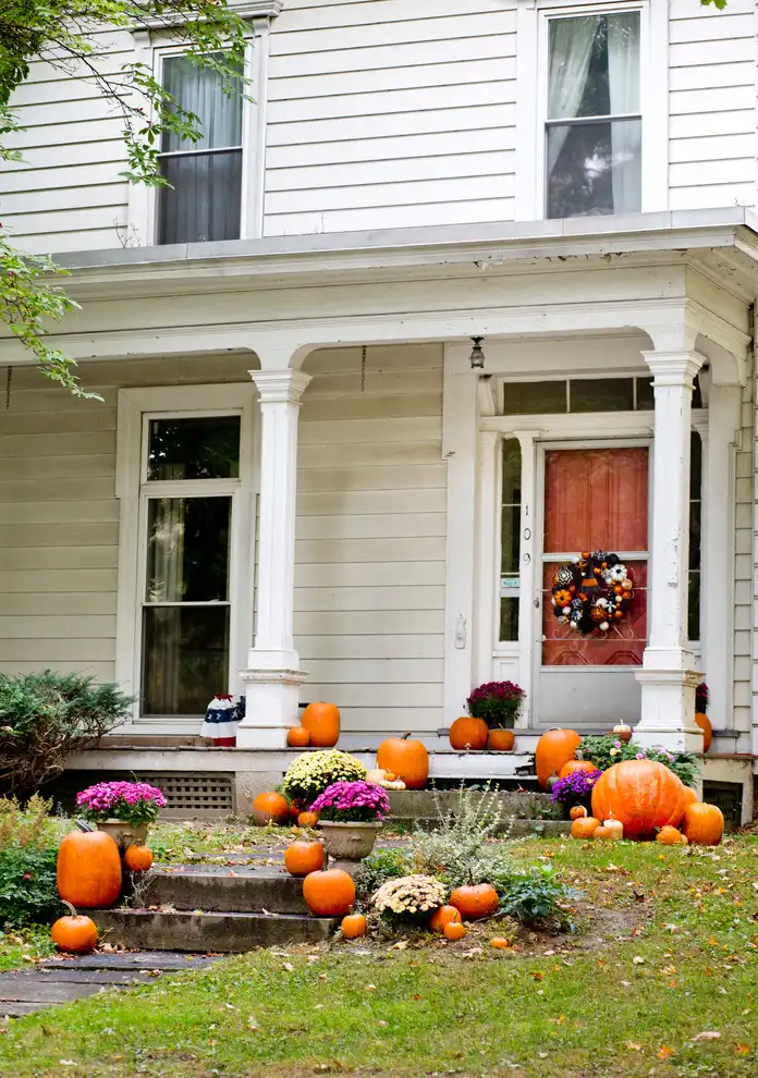 Create Your Own Pumpkin Patch