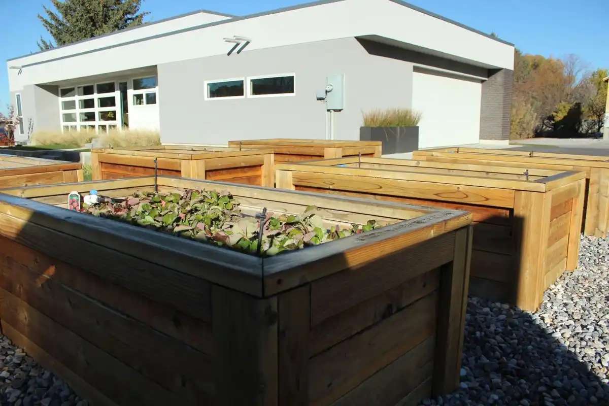 Curb Appeal - garden boxes