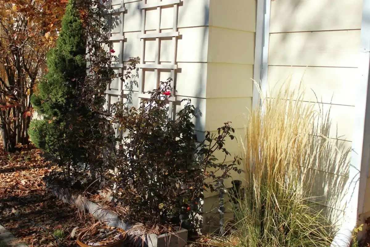 Curb Appeal - hide ugly things in backyard