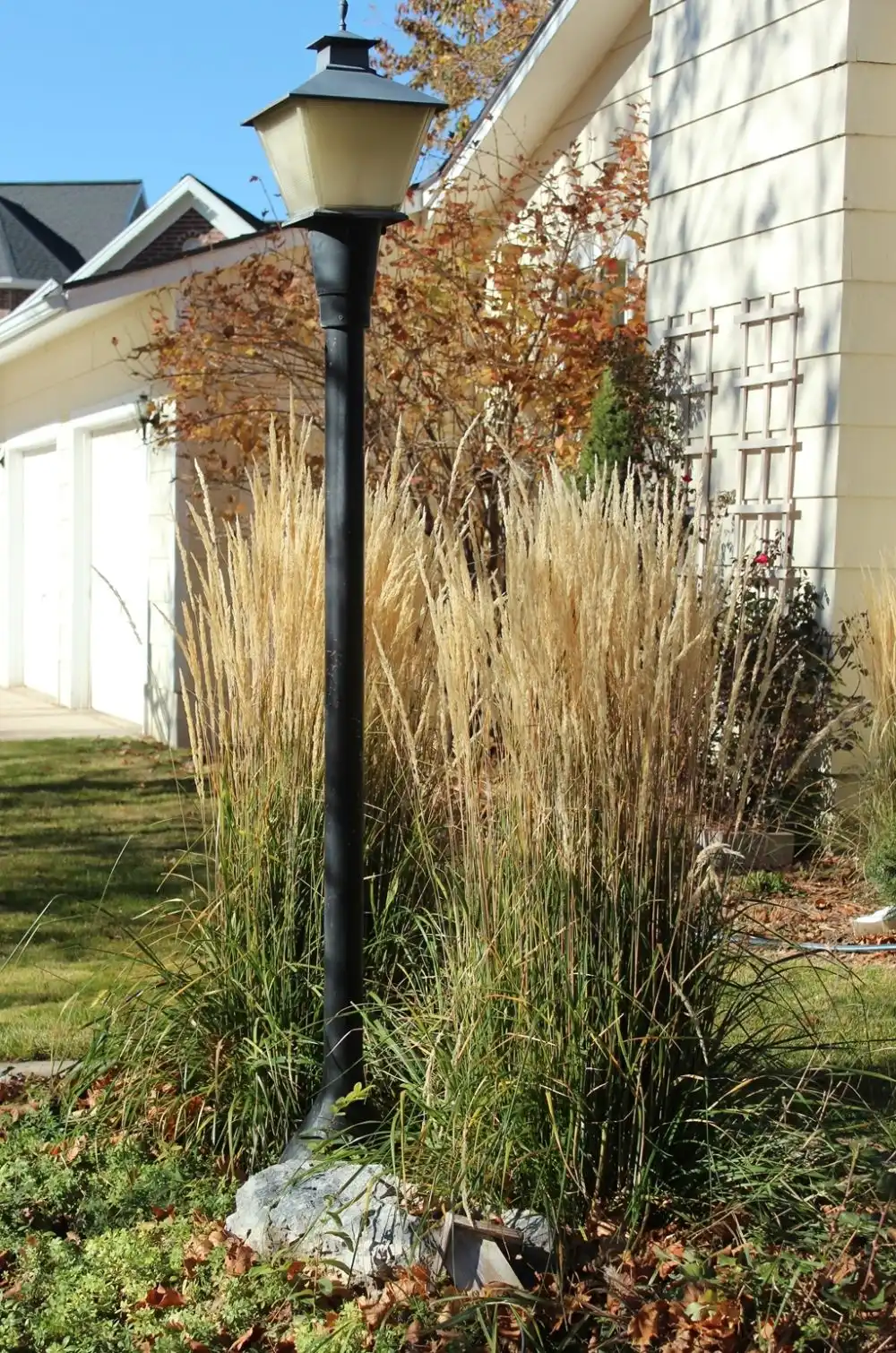 Curb Appeal - landscape plants