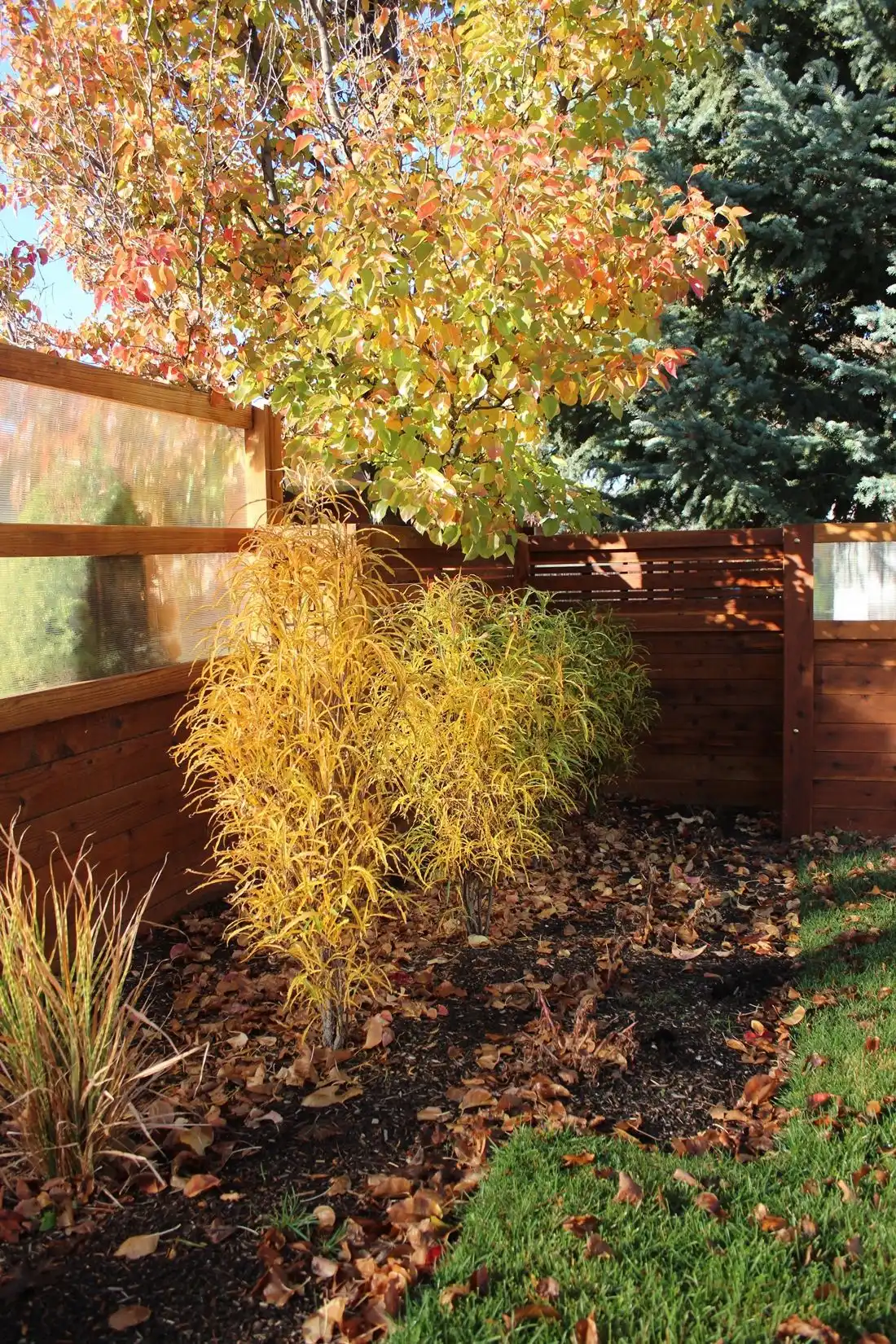 Curb Appeal - remove the fallen leaves
