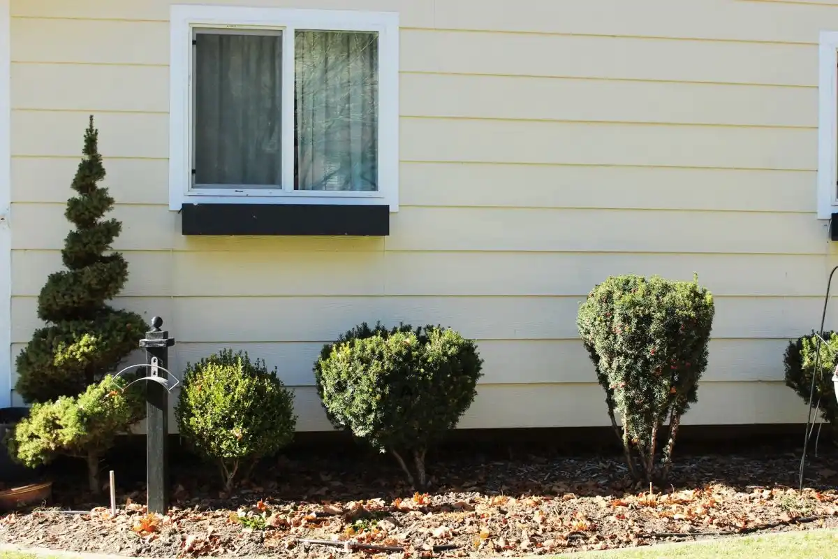 Curb Appeal - summer colors