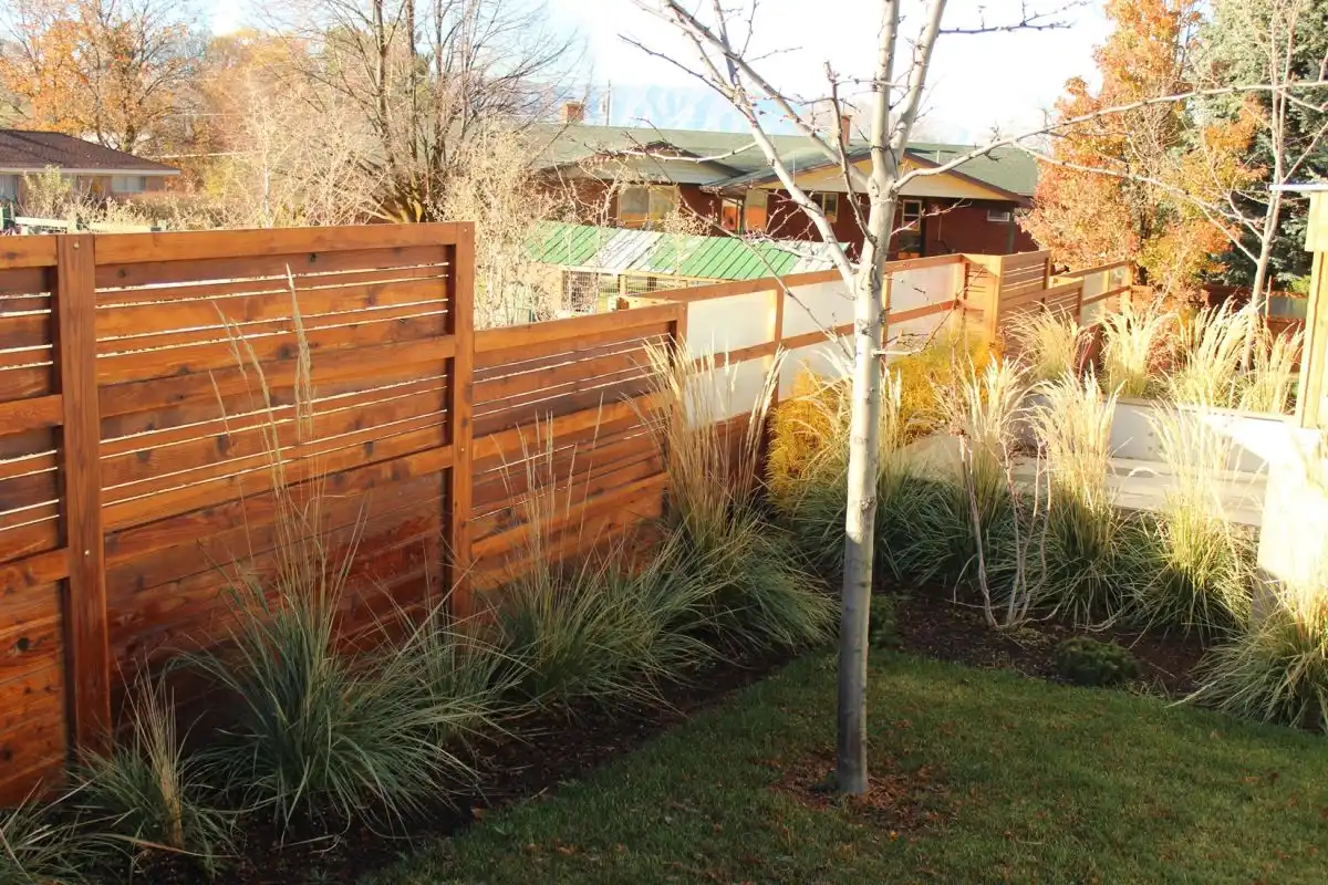 Curb Appeal - wood fence and trees