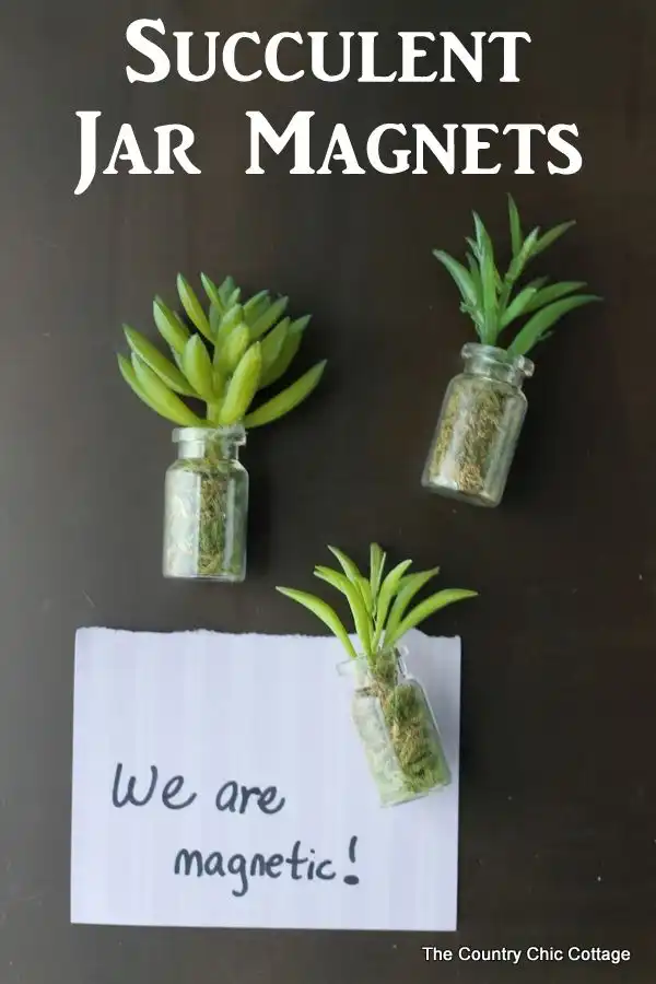 Cute succulent jar magnets