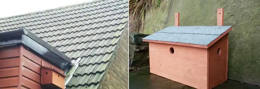 Cute three-bedroom house for birds