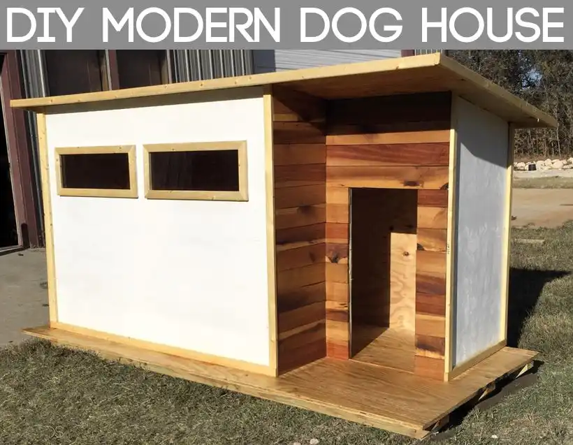 DIY Big dog house project