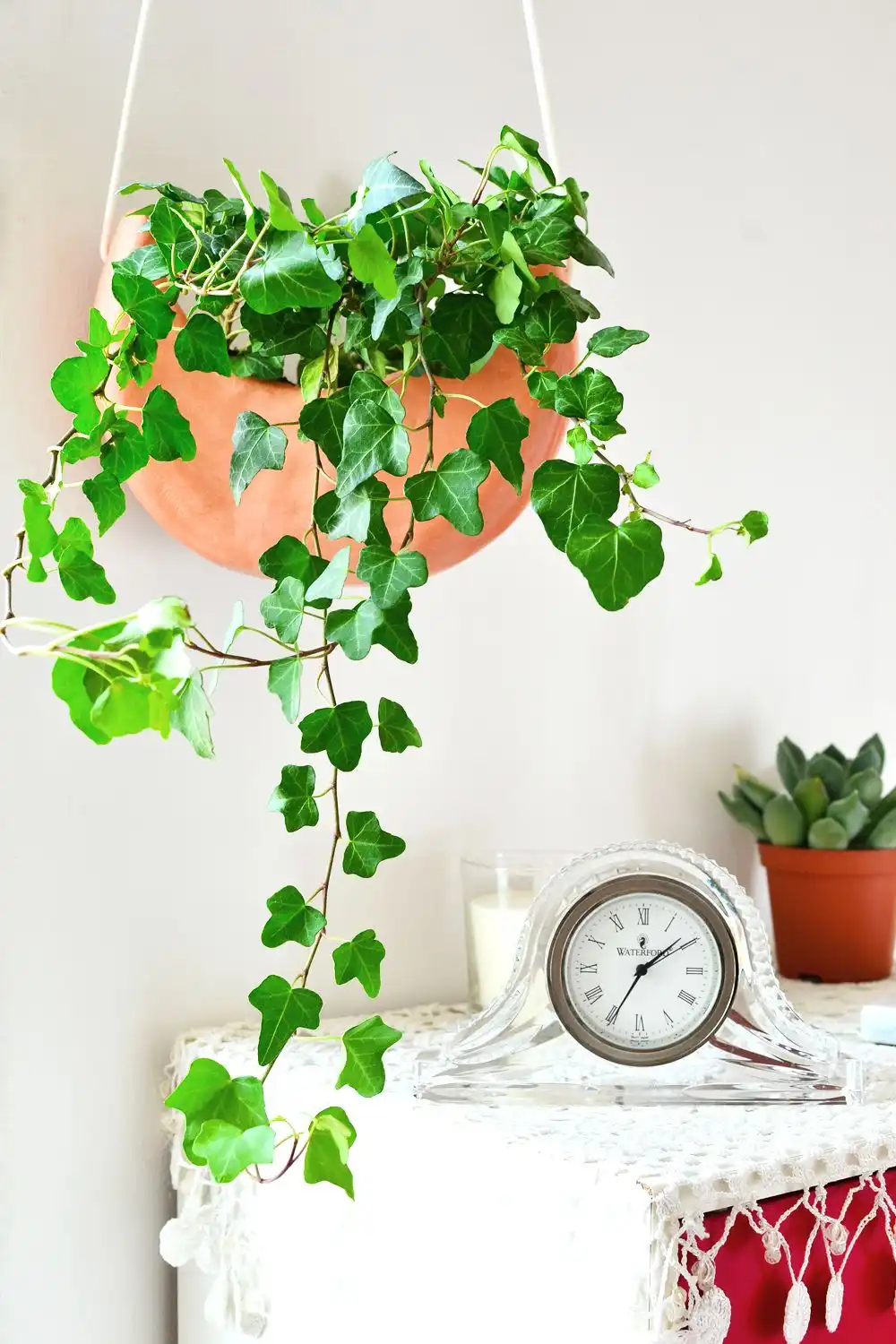 DIY Crescent Moon Hanging Planter