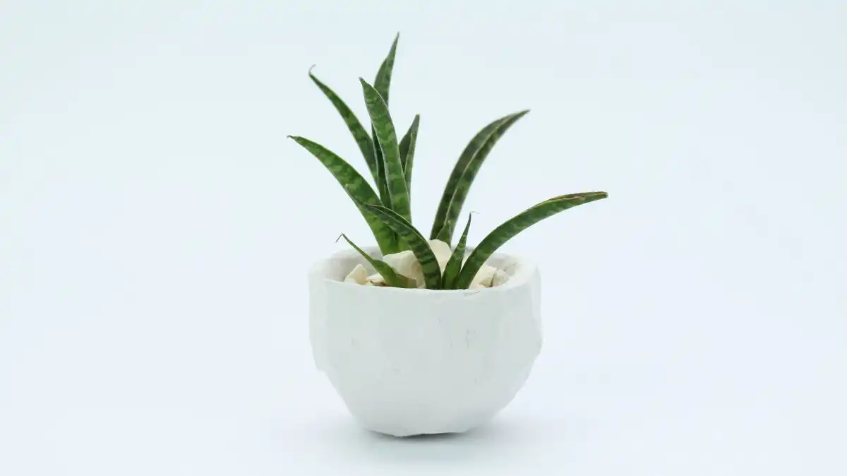 DIY Geometric Faceted Planter from Clay