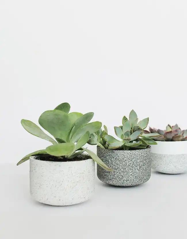 DIY Mini concrete granite pots