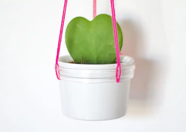 DIY Modern Hanging Planter