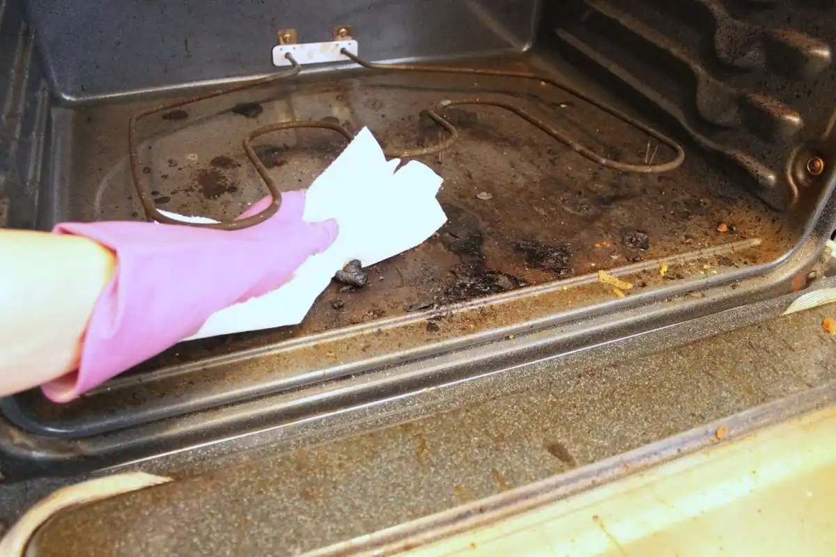 Homemade Oven Cleaner