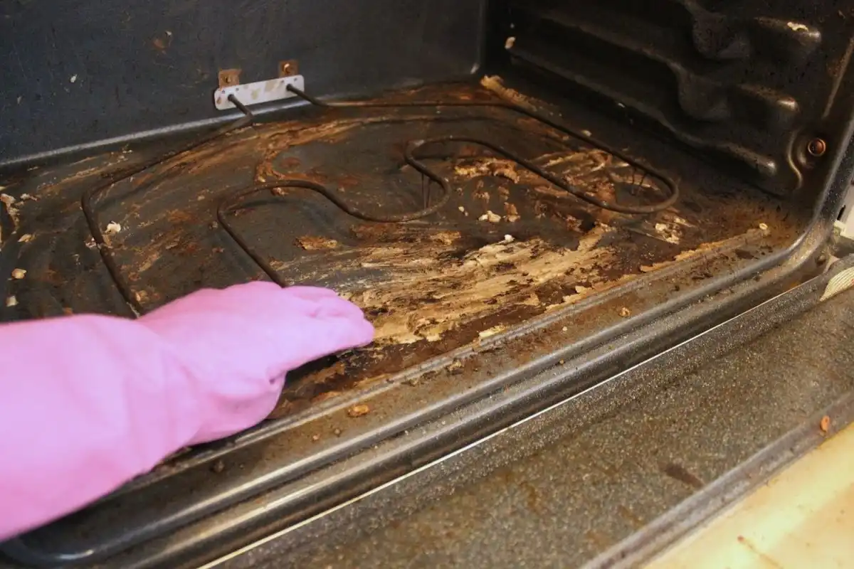 Homemade Oven Cleaner