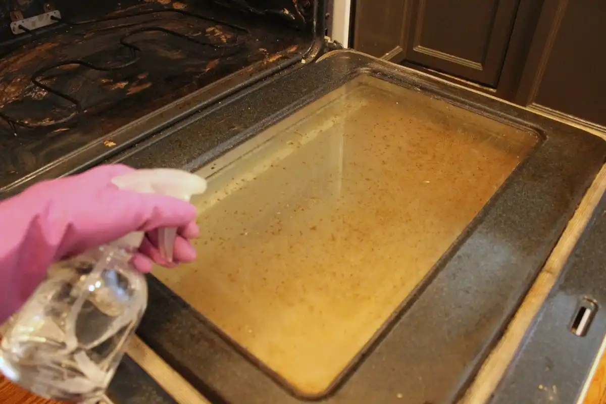 Homemade Oven Cleaner