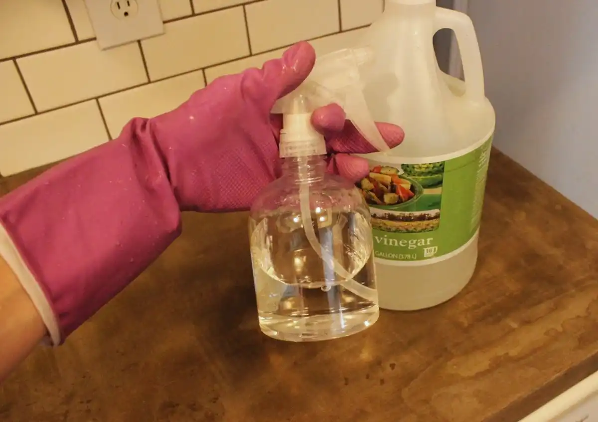 Homemade Oven Cleaner