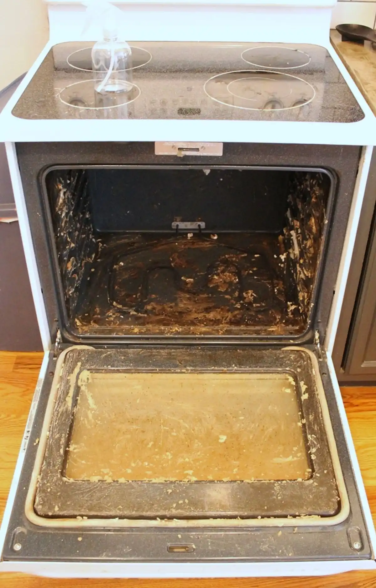Homemade Oven Cleaner