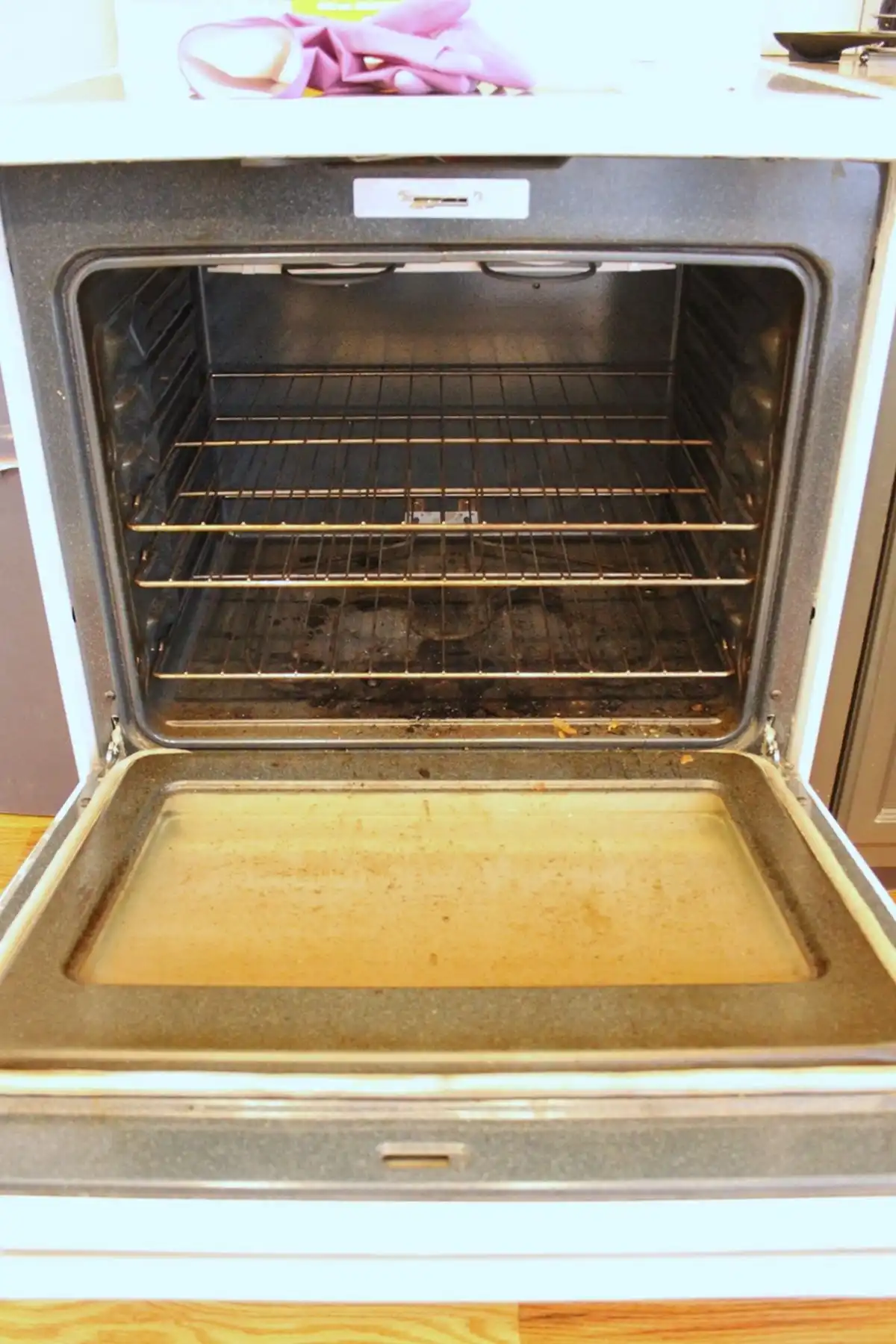 Homemade Oven Cleaner