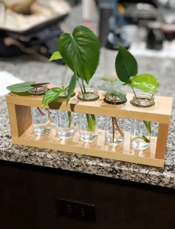 DIY Plant Propagation Station
