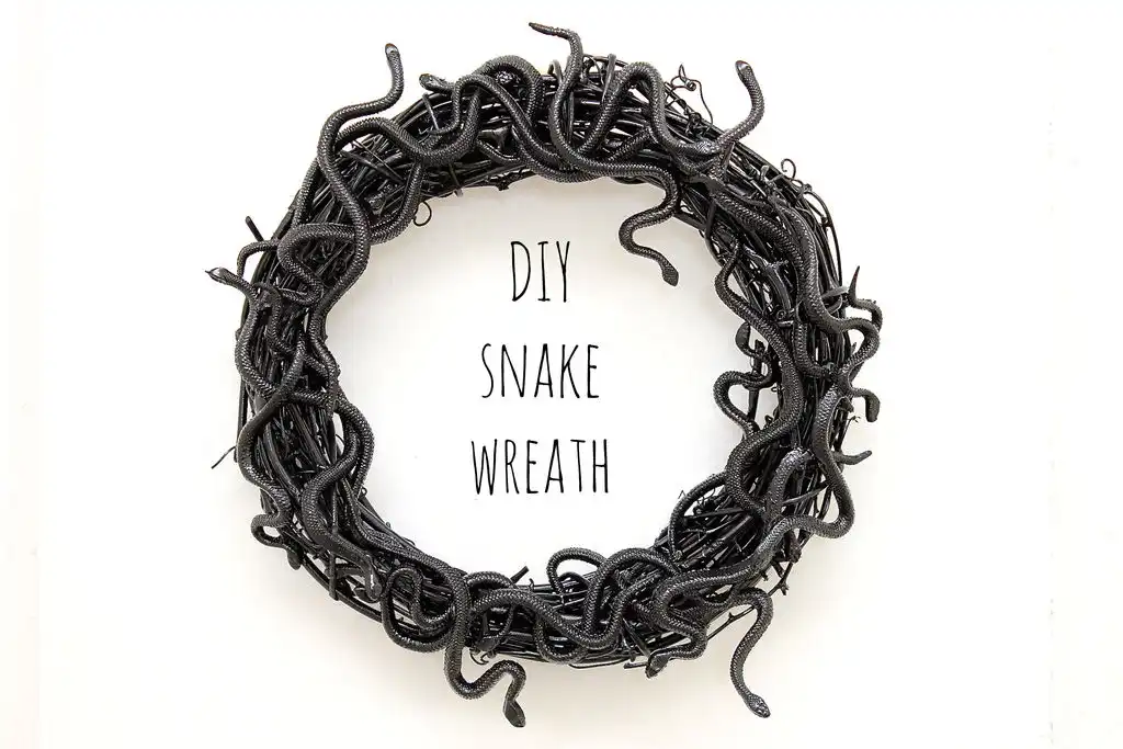 DIY Sanke Wreath