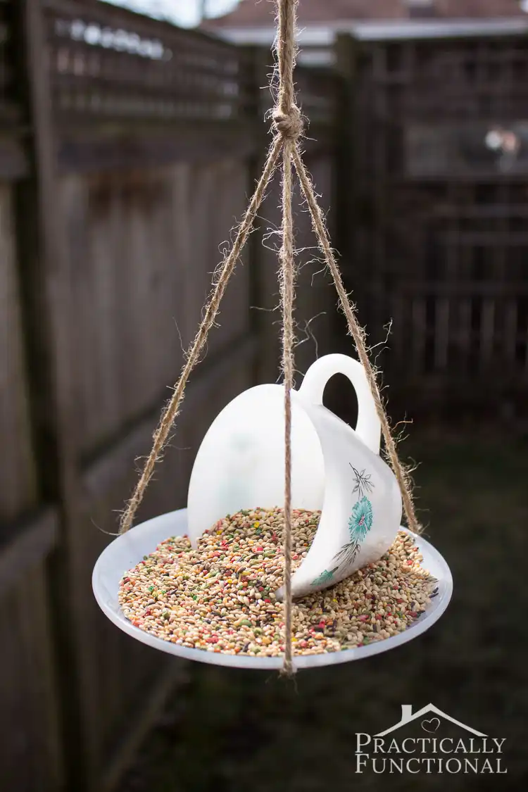 DIY teacup bird feeder