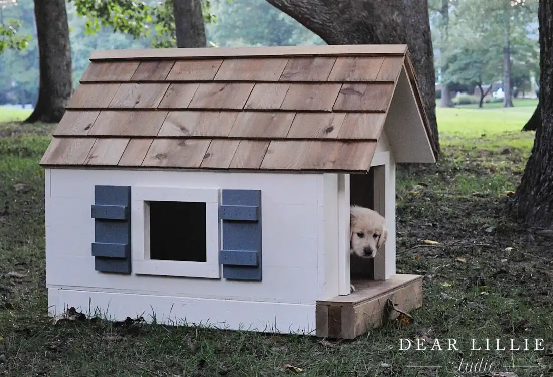 diy dog house