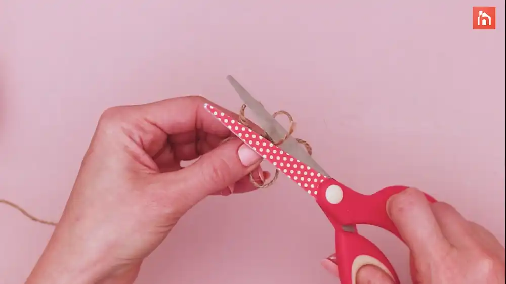 DIY chicken wire frame 30