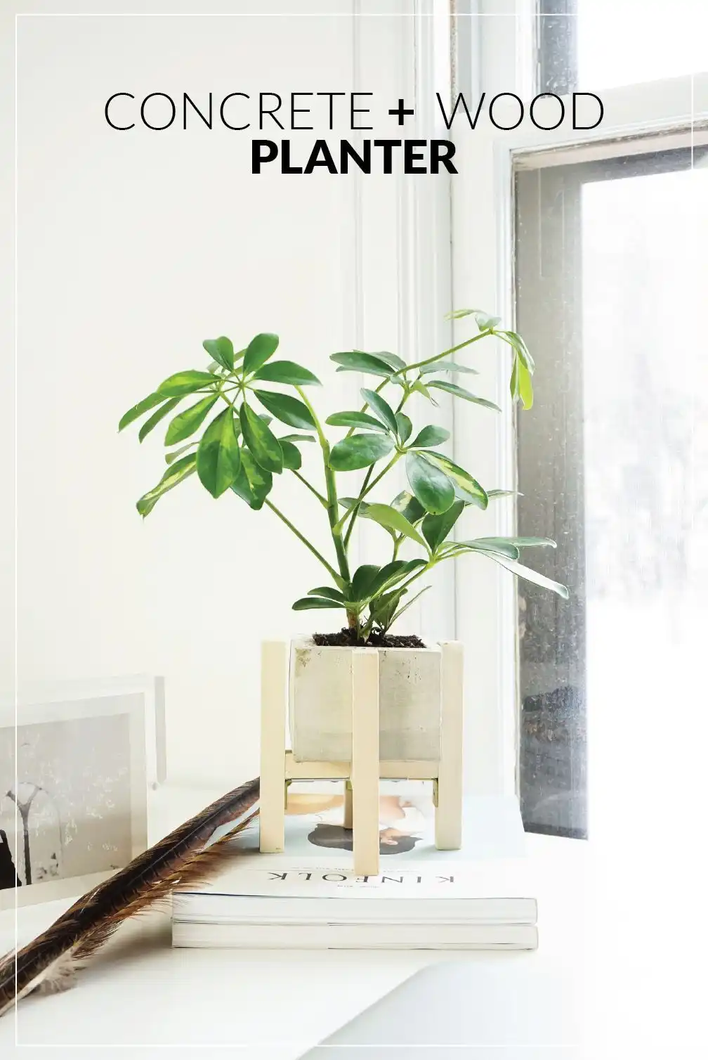 DIY concrete plant stand