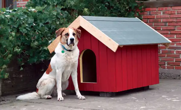 DIY dog house red color