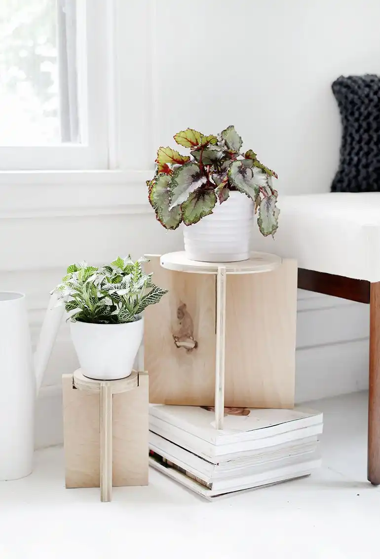 DIY mininalist wood plant stand