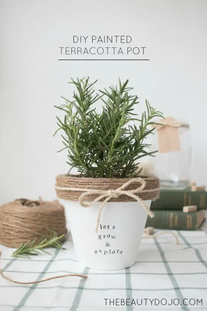 DIY painted terracotta pots and add some rope
