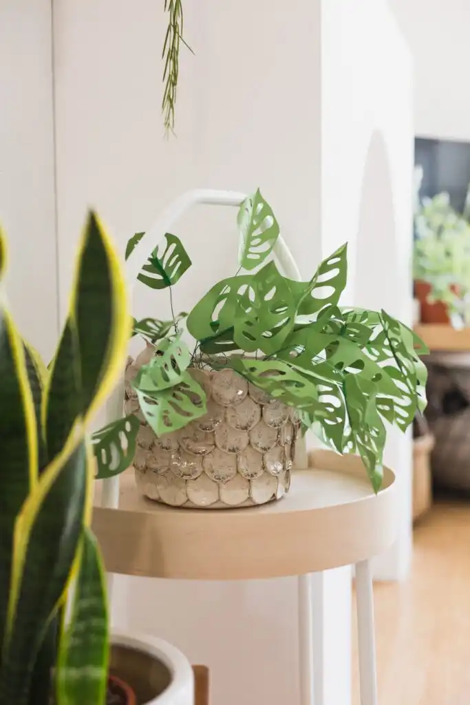 DIY paper craft planter