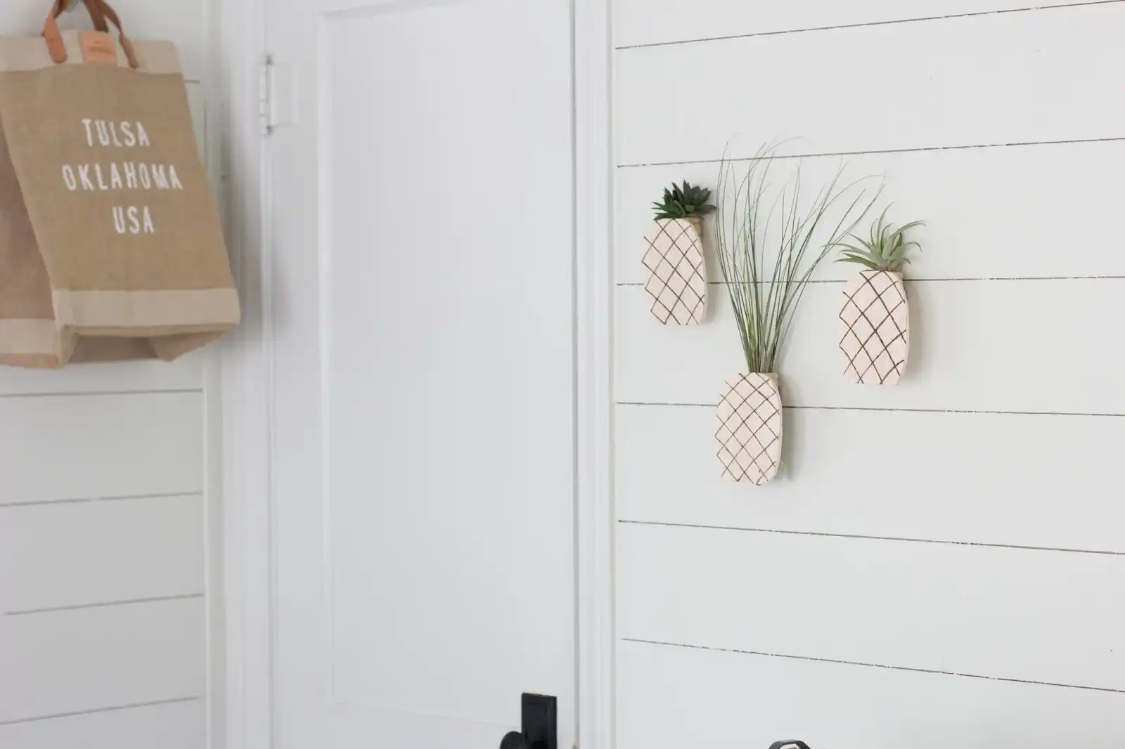 DIY pineapple air plant holder