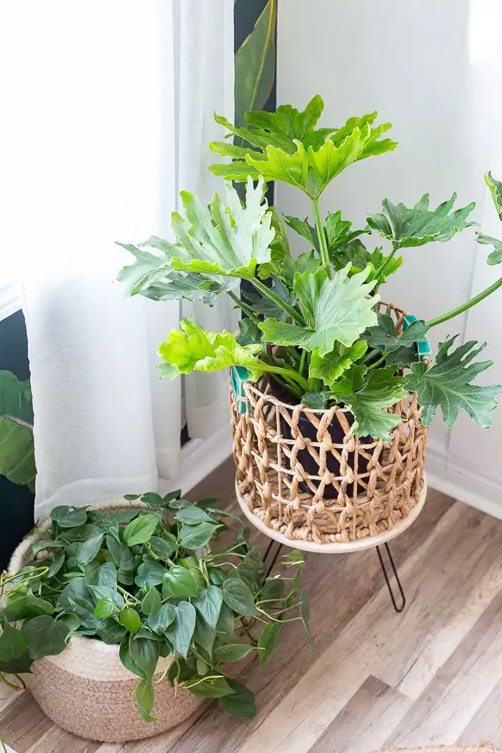 Create a Metal DIY Plant stands Table