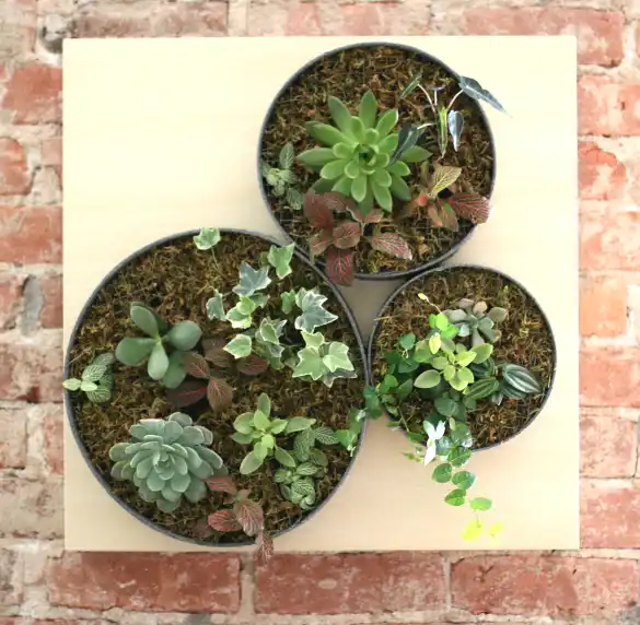 DIY vertical garden hanging