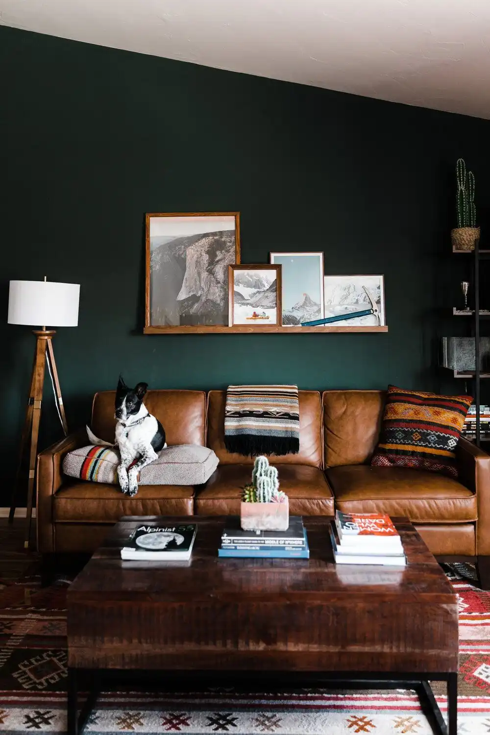Dark Green with Chestnut Brown