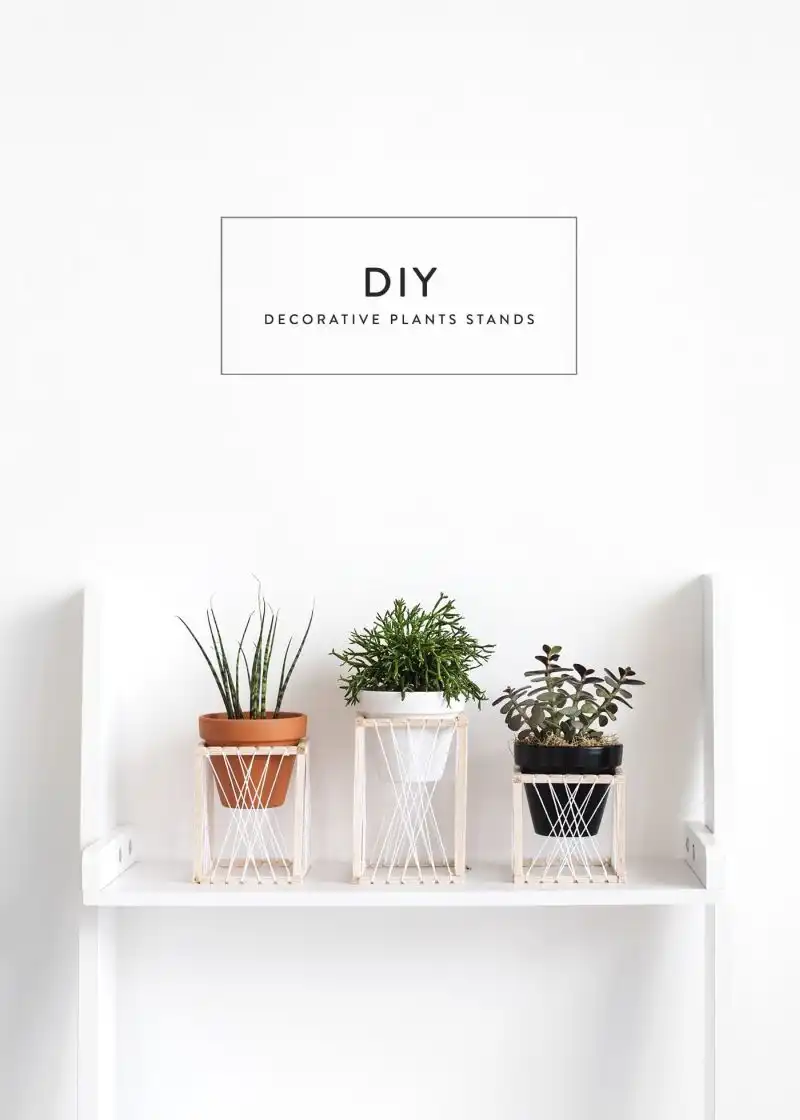 plant thrones